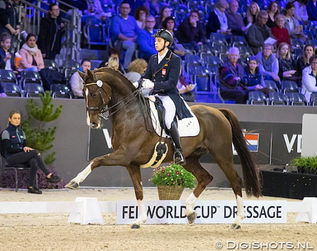 Tomasz Jasinski and Dzeko at the 2017 CDI-W 's Hertogenbosch :: Photo © Digishots