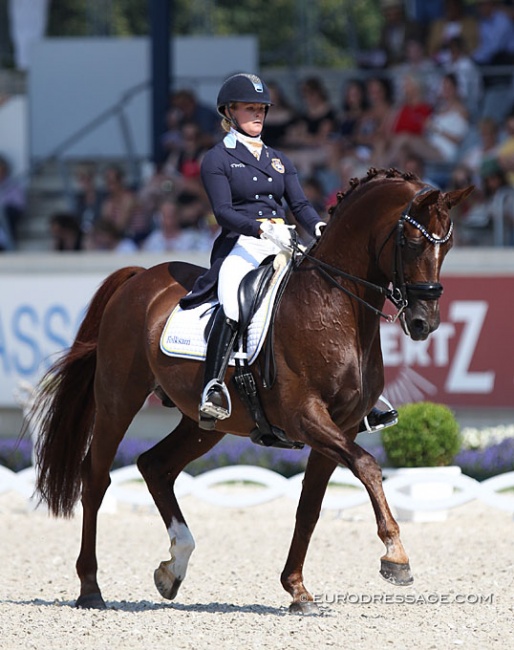 Duendecillo P at the 2018 CDIO Aachen :: Photo © Astrid Appels