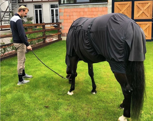 Sönke Rothenberger hand-grazing burn victim Luna, fifteen months after a fire wiped out their equestrian yard.