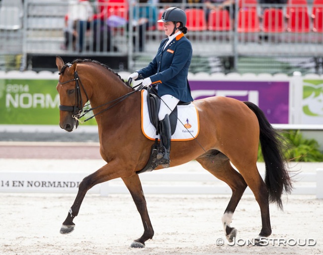 Sanne Voets and Vedet PB at the 2014 World Equestrian Games in Caen :: Photo © Jon Stroud