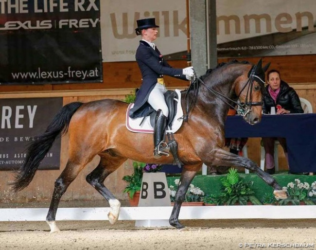 Pia Gabriel and Junimond competing in Austria in 2017 :: Photo © Petra Kerschbaum
