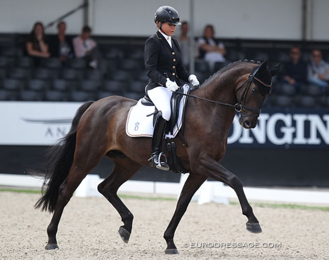 Dorothee Schneider and Dante's Hit at the 2019 World Young Horse Championships :: Photo © Astrid Appels
