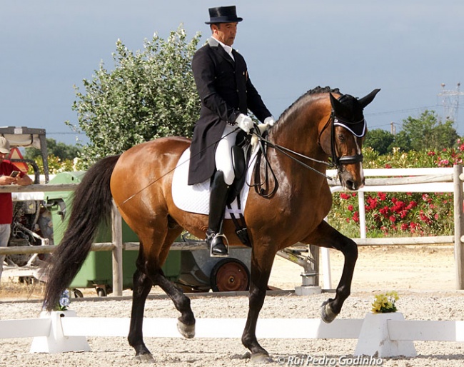 Daniel Pinto and Santurion de Massa at their return to the show ring in Portugal on 13 June 2020 :: Photo © ABR