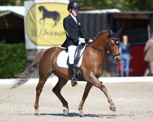 Cillian Curran on Blokland’s Hoeve’s Amor at the 2019 CDI Sint-Truiden :: Photo © Astrid Appels