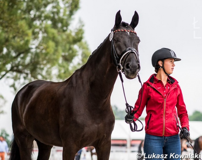 Lia Welschof and First Class at the horse inspection for the 2020 European Young Riders Championships in Budapest :: Photo © Lukasz Kowalski