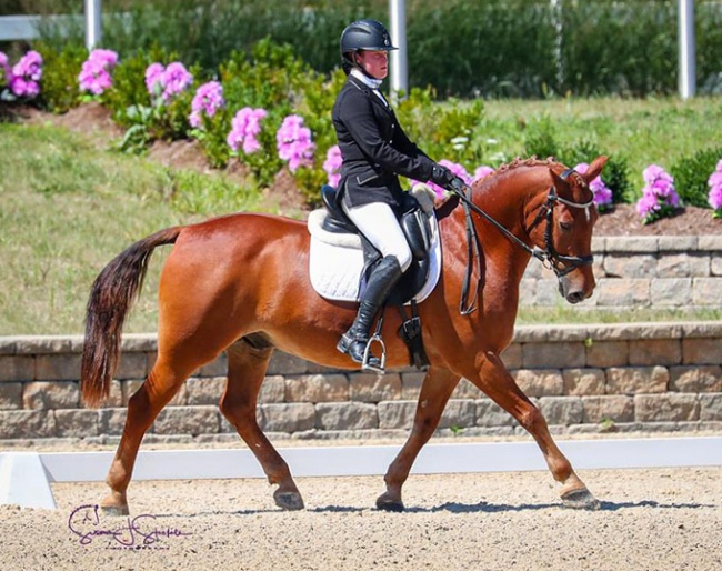 Abby Fodor on Slip and Slide at the 2020 U.S. Dressage Championship :: Photo © Sue Stickle