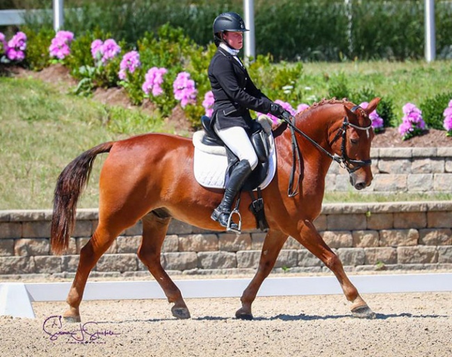Abby Fodor on Slip and Slide at the 2020 U.S. Dressage Championship :: Photo © Sue Stickle