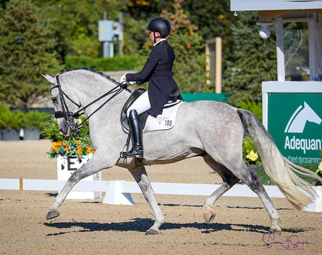 Kerrigan Gluch and Vaquero HGF win the Under 25 round 2 at the 2020 U.S. Dressage Championships :: Photo © Sue Stickle