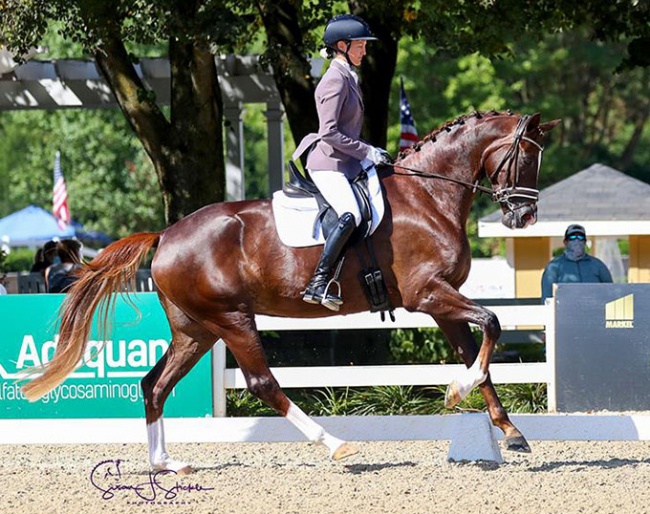 Alice Tarjan and Gjenganger at the 2020 U.S. Young Horse Championships :: Photo © Sue Stickle
