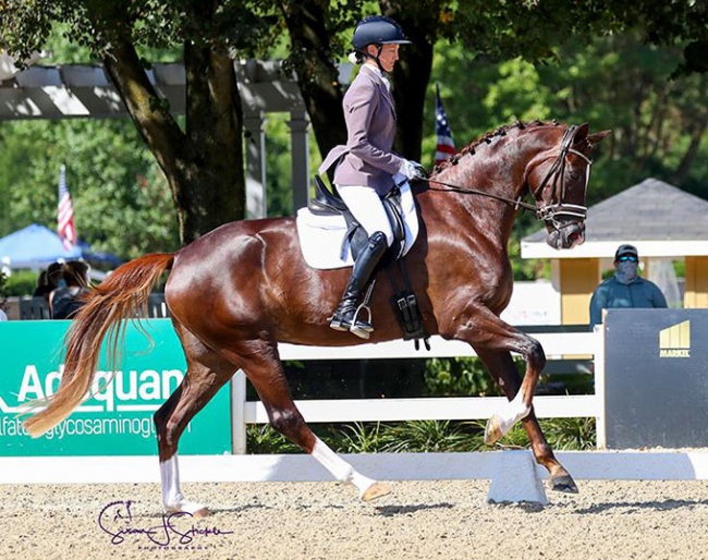 Alice Tarjan and Gjenganger at the 2020 U.S. Young Horse Championships :: Photo © Sue Stickle