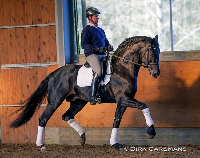 Philippe Jorissen and Special Agent Amour at home in Waremme, Belgium :: Photo © Dirk Caremans