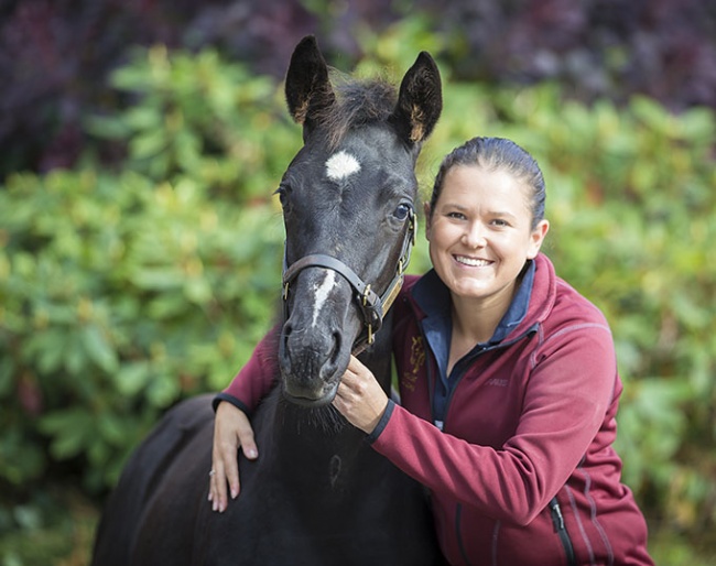 Emma Blundell of Mount St. John Boasts a Spectacular Collection of Uniquely Bred Dressage Foals - Now fillies and colts offered for sale