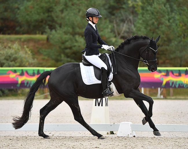 Jessica Michel Botton and Maximus Jung HP du Wincke at the 2020 French Young Horse Championships :: Photo © Les Garennes