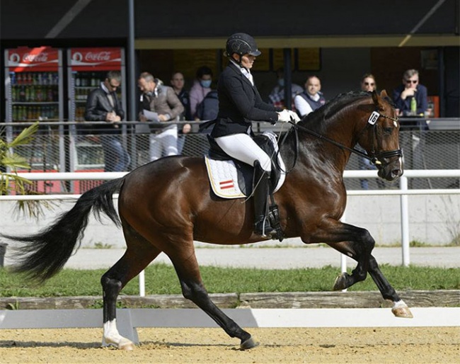 Ulrike Prunthaller and Questero at the 2020 Austrian Warmblood Championships :: Photo © Team Myrtill