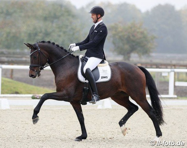 Marcus Hermes and Von Herzen FH at the First German WCYH Selection trial in Warendorf :: Photo © LL-foto