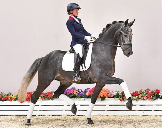 Borsody, Cat. Nr. 1, by Bordeaux - Sandro Hit - Donnerschwee. :: Photo © Feldhaus