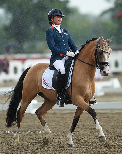 Febe van Zwambagt and FS Coco Jambo at the 2014 European Pony Championships :: Photo © Astrid Appels