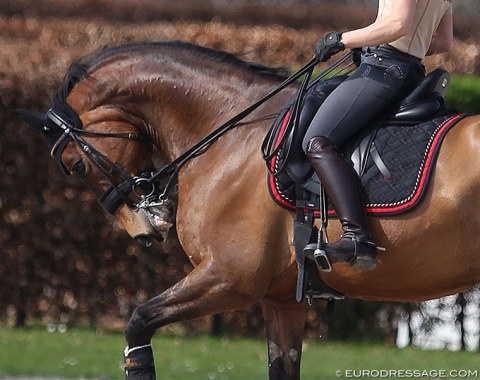 An example of rollkur/hyperflexion at the 2018 CDI Aachen :: Photo © Astrid Appels