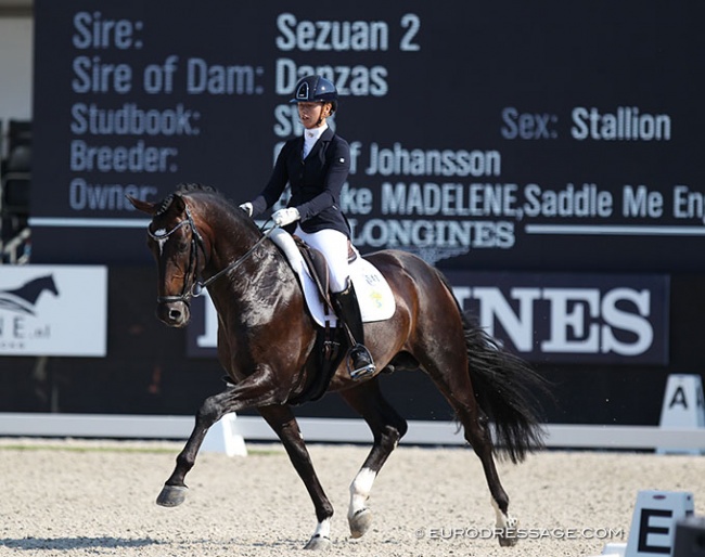 Madelene Engelke and Shizeido GJ also competed at the 2018 World Young Horse Championships in Ermelo :: Photo © Astrid Appels