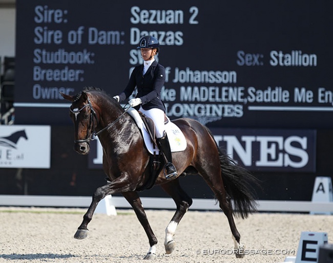 Madelene Engelke and Shizeido GJ also competed at the 2018 World Young Horse Championships in Ermelo :: Photo © Astrid Appels