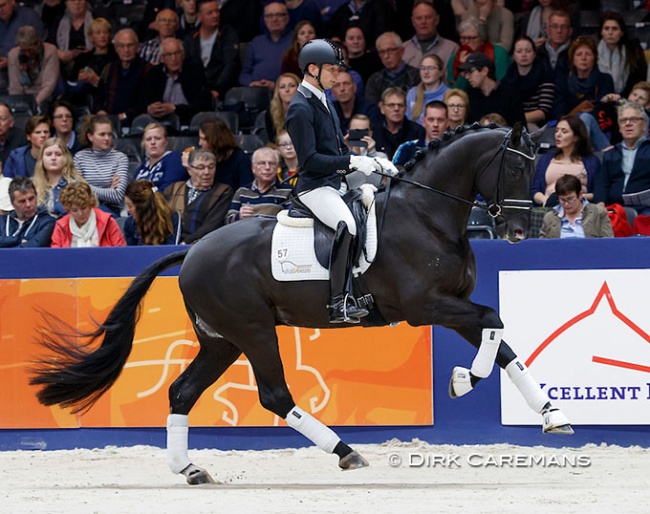Bart Veeze and Kardieno in a stallion show at the 2019 KWPN Stallion Licensing :: Photo © Dirk Caremans