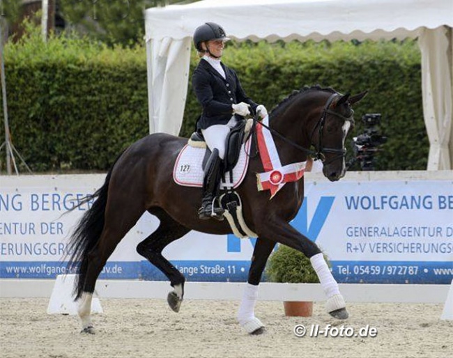 Wibke Hartmann-Stommel and Dark Diamond HM at the 2019 Westfalian Young Horse Championships :: Photo © LL-foto