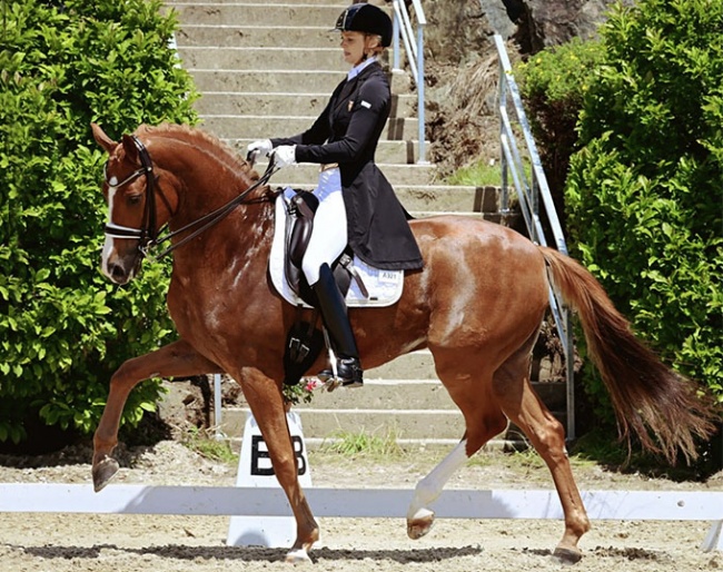 Bettina Kendlbacher on Don Alfredo :: Photo © Istvan Lehoczky