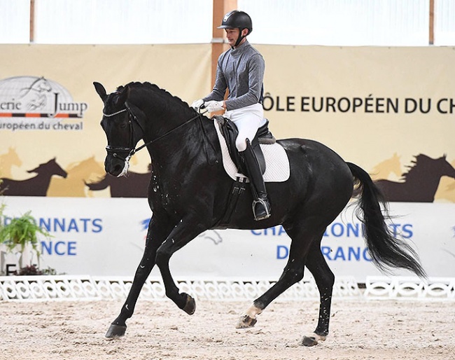Antonin Schuhard and the Hanoverian Ninjago (by Negro x San Remo) :: Photo © Les Garennes