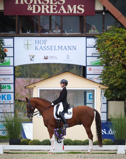 Rebecca Williams-O’Brien and Hollingrove Dazzler competing at the 2020 CDI Hagen at Hof Kasselmann :: Photo © Astrid Appels
