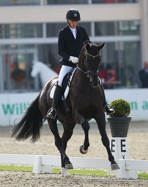 Dries van Dyck and Saint Etienne at the 2020 CDI Hagen :: Photo © Astrid Appels