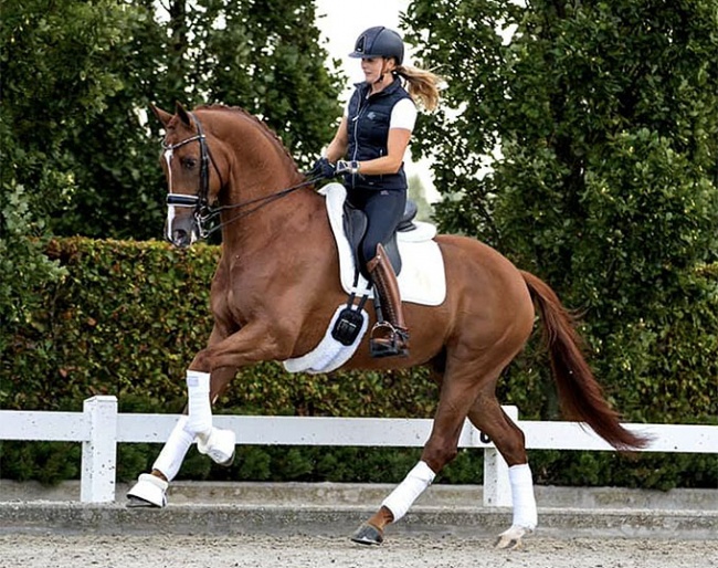 Emmelie Scholtens and the 6-year old Joe H (by Zatchmo x Vivaldi) :: Photo © private