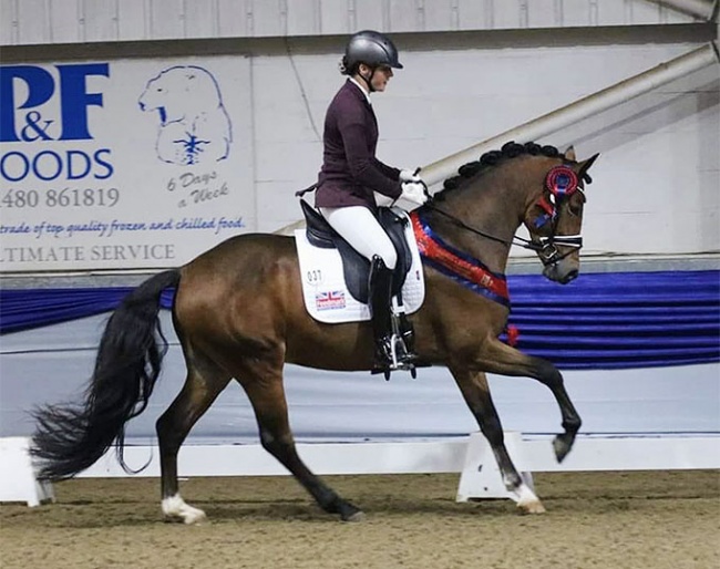 Eleanor Darling and Godric's Dionysus at the 2020 British Young Pony Championships