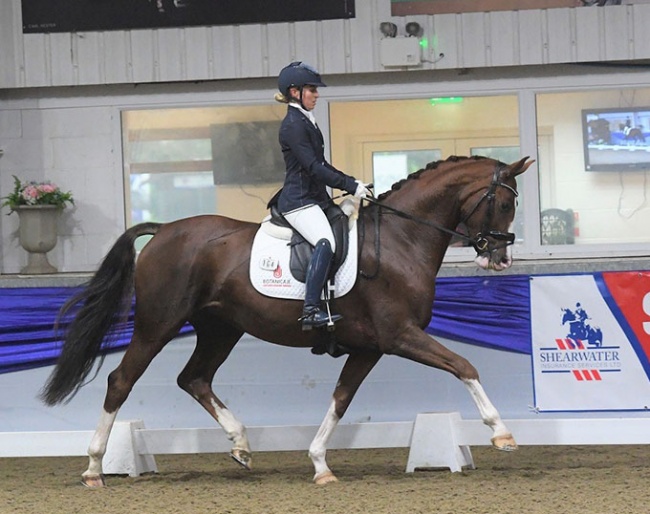 Amy Woodhead and Mount St. John Diamonds are Forever at the 2020 British Young Horse Championships at Keysoe :: Photo © Kevin Sparrow