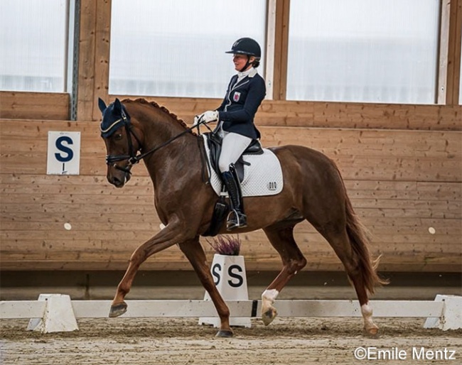 Fie Skarsoe and Coco Island at the 2020 Luxembourg Young Horse Championships :: Photo © Emile Mentz