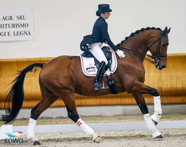 Astrid Neumayer and Zap Zap win big at the 2020 CDI Ornago :: Photo © Petra Kerschbaum