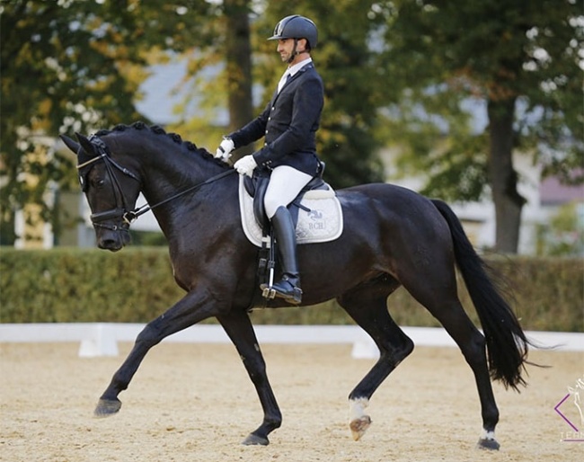 Martin Hauptmann and Dark Knight Rises at the 2020 Austrian Warmblood Young Horse Championships :: Photo © Team Myrtill