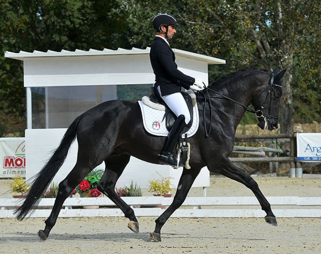 Frederico Mexia de Almeida and Ecuador di Fonte Abeti (by Negro x Sir Donnerhall) at the 2020 Italian Young Horse Championships