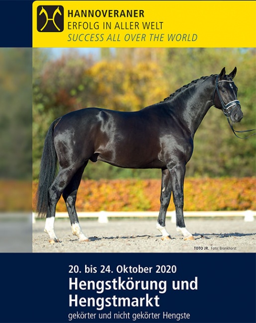 Catalog for the 2020 Hanoverian Stallion Licensing