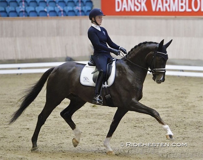 Nanna Skodborg Merrald and Blue Hors Touch of Olympic (by Don Olympic x Fidermark) at the Danish WCYH selection trial in Vilhelmsborg :: Photo © Ridehesten