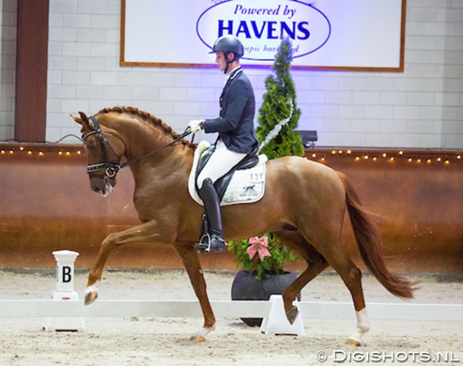 Diederik van Silfhout and Furst Jazz in the KWPN Stallion Competition in Peelbergen in 2017 :: Photo © Digishots