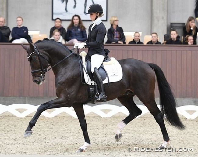 Mette Sejbjerg Jensen and Got It at the 2019 Danish Young Horse Championships :: Photo © Ridehesten