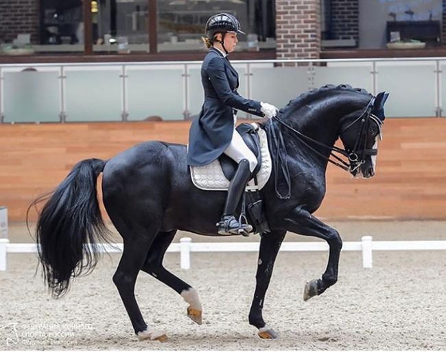 Maria Klementieva and Doctor Wendell MF competing at Maxima Park in Moscow in 2019