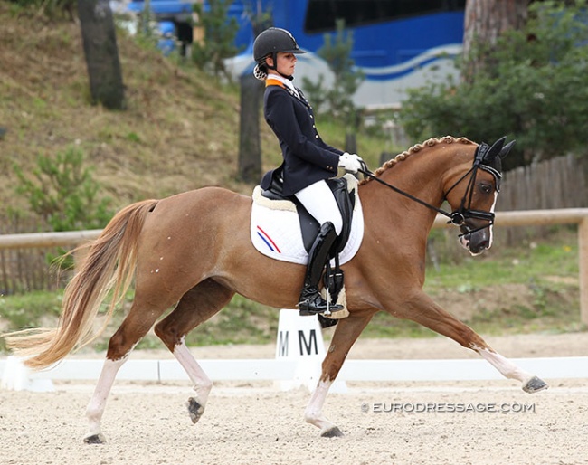 Rosalie Bos and Paso Double at the 2012 European Pony Championships :: Photo © Astrid Appels