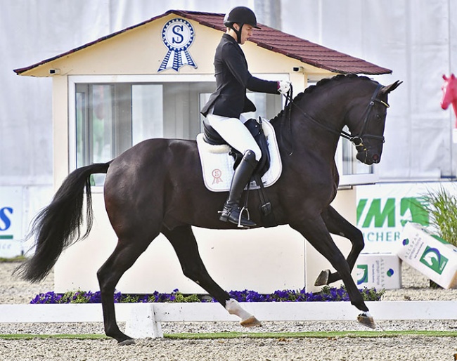 Dries van Dyck and Saint Etienne at the 2020 CDI Hagen :: Photo © Ruchel