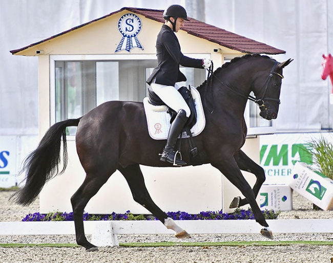 Dries van Dyck and Saint Etienne at the 2020 CDI Hagen :: Photo © Ruchel