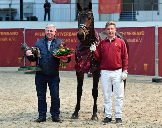 Heinrich Ramsbrock with the Ibiza x De Niro colt that became champion of the 2020 DSP Stallion Licensing