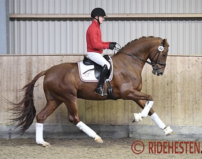 My Vitality (by Vivaldi x D-Day) :: Photo © Ridehesten