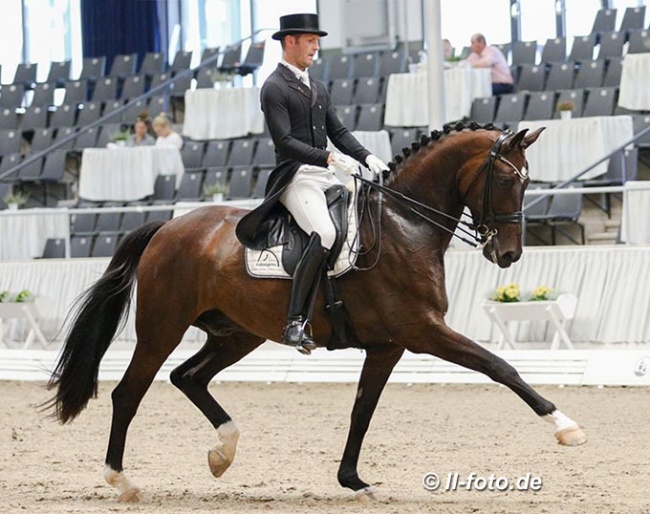 Marcus Hermes and Hugo FH at the 2020 Nurnberger Burgpokal qualifier in Verden :: Photo © LL-foto