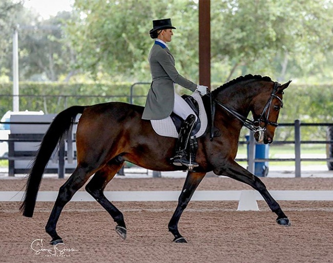 Bianca Tota and Cadento V at the 2020 CDI Wellington - Global Dressage Fall Festival I :: Photo © Sue Stickle