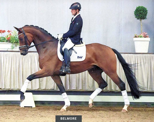 Belmore (by Belissimo M x Fidertanz)